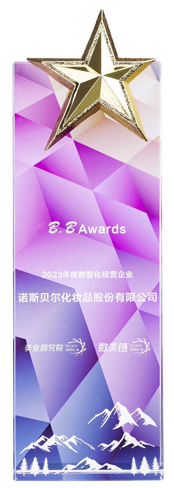 2023年度數(shù)智化經(jīng)營(yíng)企業(yè)(BB Awards)